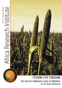 Zimbabwe, Africa, indigenous crops, millet, small grains, Paul Chidara Muchineripi