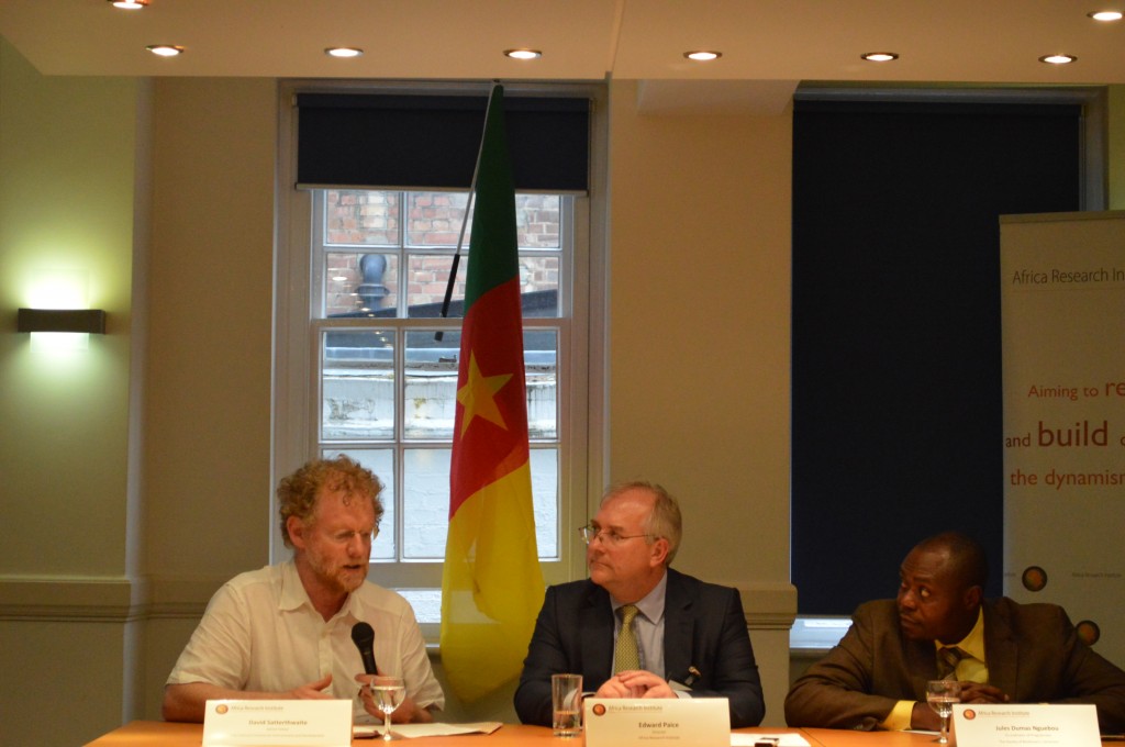 Participate: Edward Paice, David Satterthwaite, Jules Dumas Nguebou